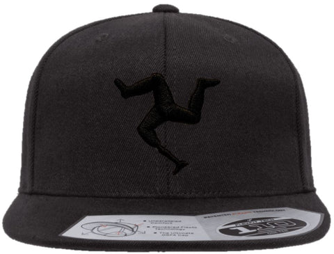 TRISKELE FLEXFIT 110® PREMIUM SNAPBACK HAT