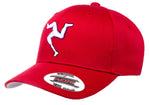 TRISKELE COLLEGIATE PREMIUM FLEXFIT® HAT - University of Utah